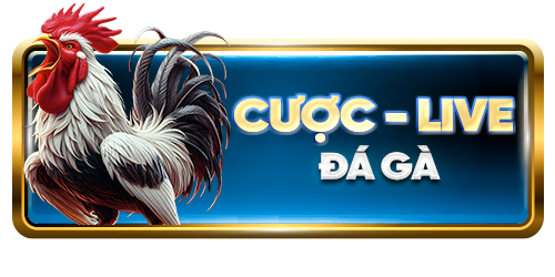 Cá cược đá gà